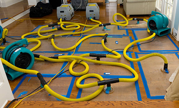 Professional Crawl Space Water Removal technician working in Central City, IL